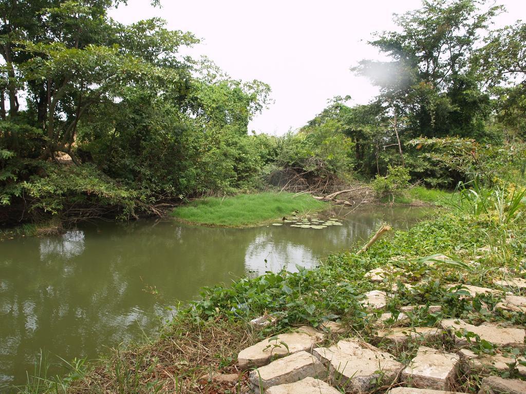 Welimaluwa Resort Sigiriya Kibissa Luaran gambar