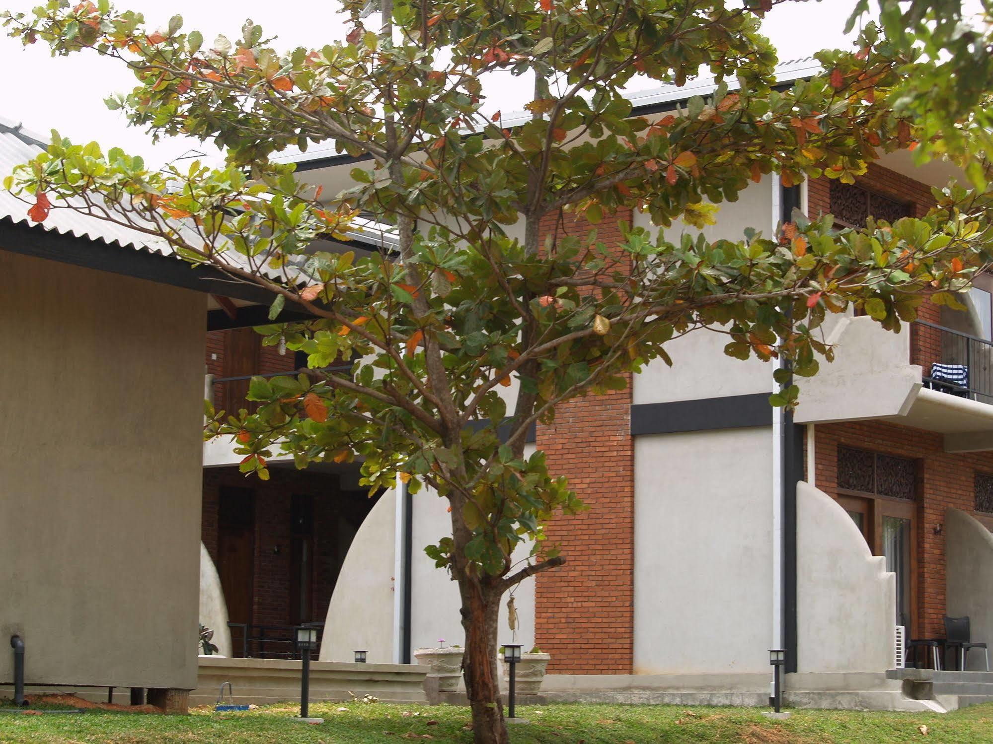 Welimaluwa Resort Sigiriya Kibissa Luaran gambar